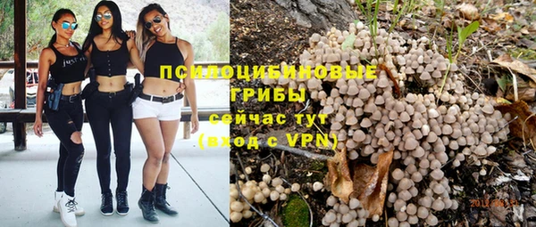 таблы Алексеевка