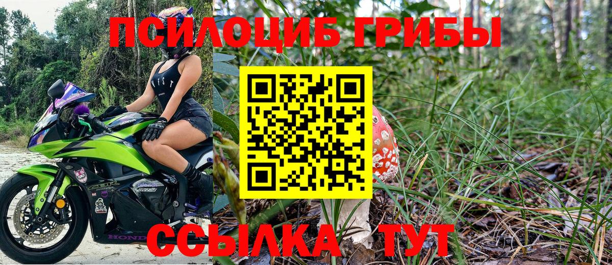 где найти   Вход с VPN  Углич  Псилоцибиновые грибы MAGIC MUSHROOMS  Псилоцибиновые грибы MAGIC MUSHROOMS 