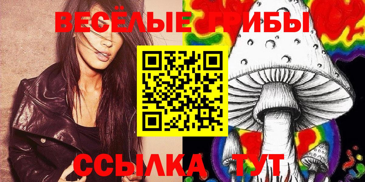 Углич  Псилоцибиновые грибы прущие грибы  Вход с VPN  Псилоцибиновые грибы Magic Shrooms 